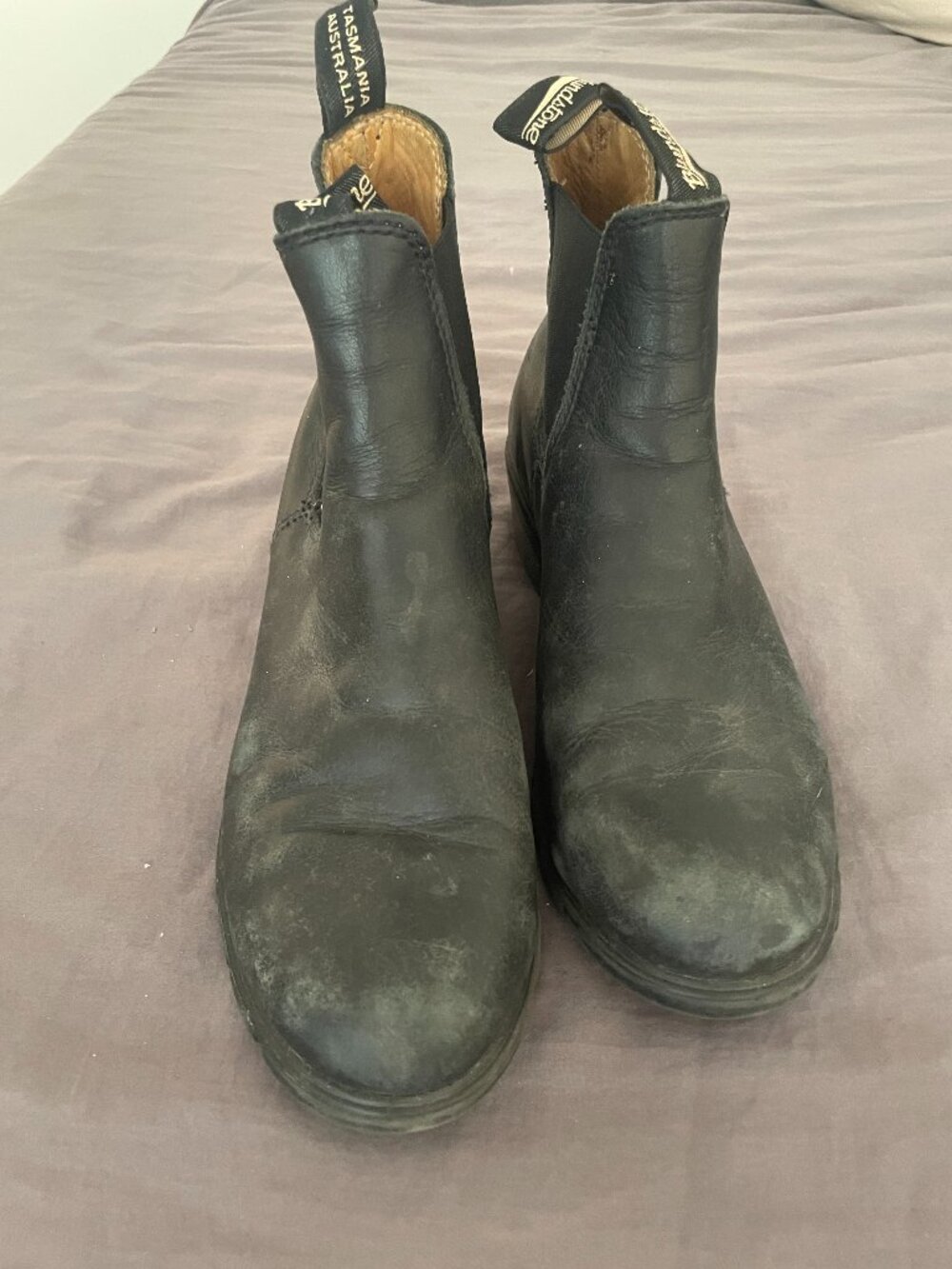 Blundstone Boot with Heel